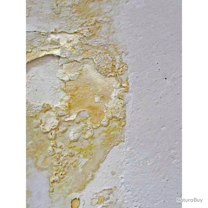 Anti-salpêtre Dalep 5L Traitement Prêt à L'emploi Sans Odeur 2 Anti-salpêtre Dalep 5L Traitement Prêt à L'emploi Sans Odeur – Image 2