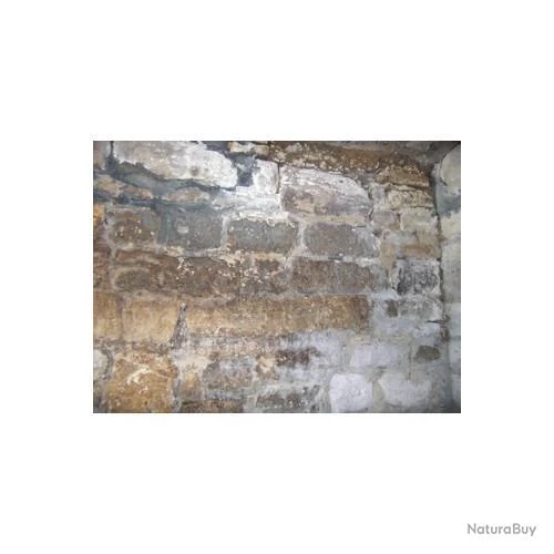 Anti-salpêtre Dalep 5L Traitement Prêt à L'emploi Sans Odeur 3 Anti-salpêtre Dalep 5L Traitement Prêt à L'emploi Sans Odeur – Image 3