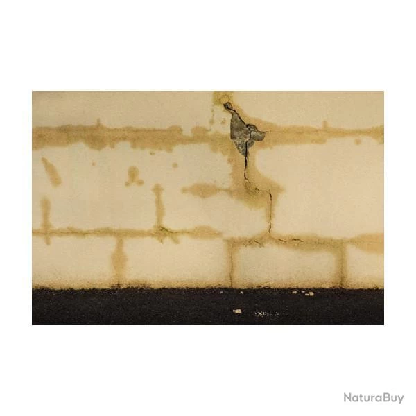 Hydrofuge Dalep D21 Prêt à L'emploi 20L Spécial Matériaux Poreux 3 Hydrofuge Dalep D21 Prêt à L'emploi 20L Spécial Matériaux Poreux – Image 3