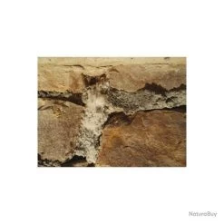 Anti-salpêtre Dalep 5L Traitement Prêt à L'emploi Sans Odeur 7 Anti-salpêtre Dalep 5L Traitement Prêt à L'emploi Sans Odeur -Des outils pour votre vie. 00004 Anti salpetre Dalep 5L traitement pret a l emploi sans odeur