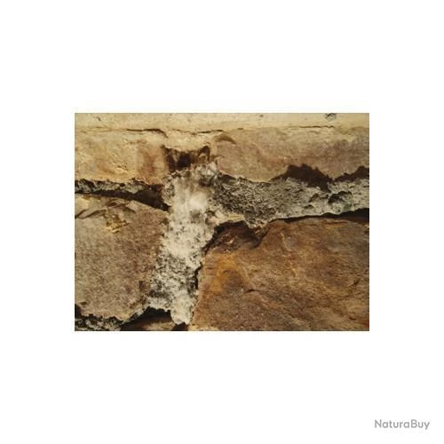 Anti-salpêtre Dalep 5L Traitement Prêt à L'emploi Sans Odeur 4 Anti-salpêtre Dalep 5L Traitement Prêt à L'emploi Sans Odeur – Image 4