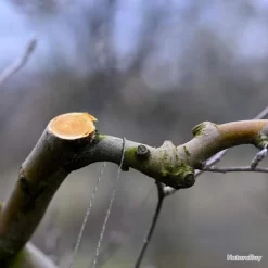 Scie à Chaine à Main Scies De Fil En Acier Inoxydable Outil De Survie + Gant (4 Scie à Mains) -Des outils pour votre vie. 00004 Scie a Chaine a Main Scies de Fil en Acier Inoxydable Outil de Survie Gant 4 Scie a mains