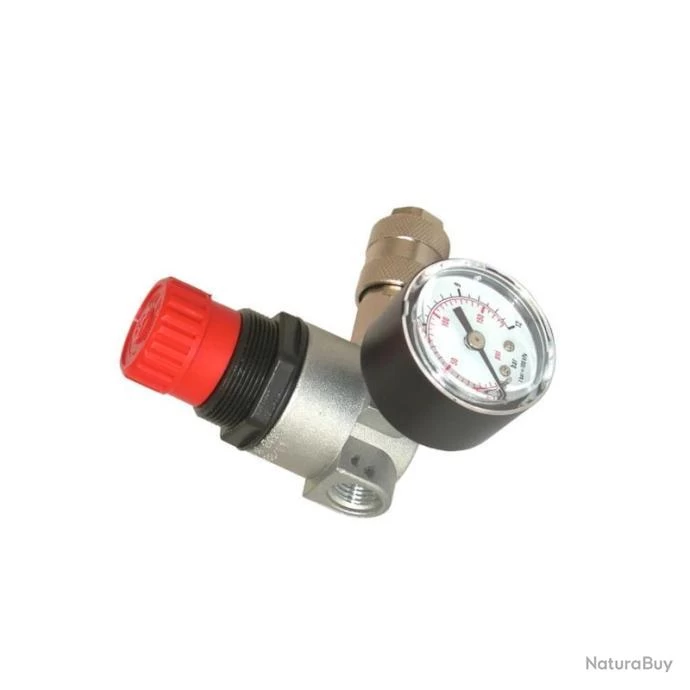 Détendeur Micron 1/4 F 0-12 Bar Lacme 2 Détendeur Micron 1/4 F 0-12 Bar Lacme – Image 2