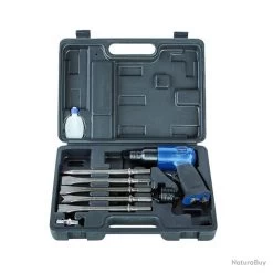 Ensemble De Burinage En Coffret (Kit Marteau à Air Comprimé, 6,3 Bar) Scheppach