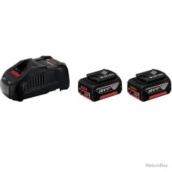 Starter-Set 2x5,0Ah Li-Ion Et Chargeur GAL 1880 CV 1600A00B8J Bosch