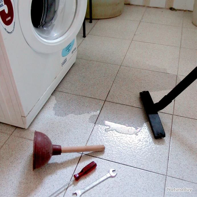 Aspirateur Eau Et Poussières 4 En 1 1000W 14+14L 180 Mbar KOMBO Lavor 3 Aspirateur Eau Et Poussières 4 En 1 1000W 14+14L 180 Mbar KOMBO Lavor – Image 3