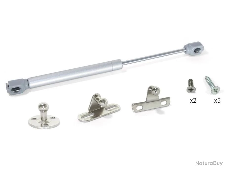 10 Pistons Pour Portes Relevables, Force 8 Kg, Parcours 80 Mm, Avec Fixation, Gris Métallisé Emuca 2 10 Pistons Pour Portes Relevables, Force 8 Kg, Parcours 80 Mm, Avec Fixation, Gris Métallisé Emuca – Image 2